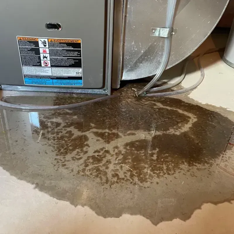 Appliance Leak Cleanup in Fairfax, OK